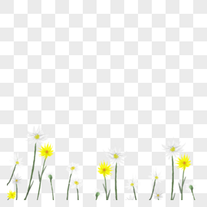 黄白花朵装饰插画图片