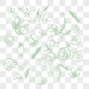 植物花卉手绘底纹图片