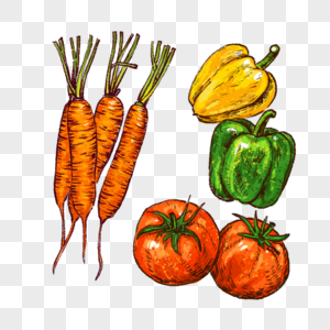 蔬菜西红柿胡萝卜灯笼椒水果绿色食品健康图片