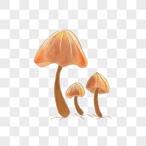 手绘蘑菇线稿图片
