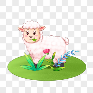 小绵羊吃草图片素材