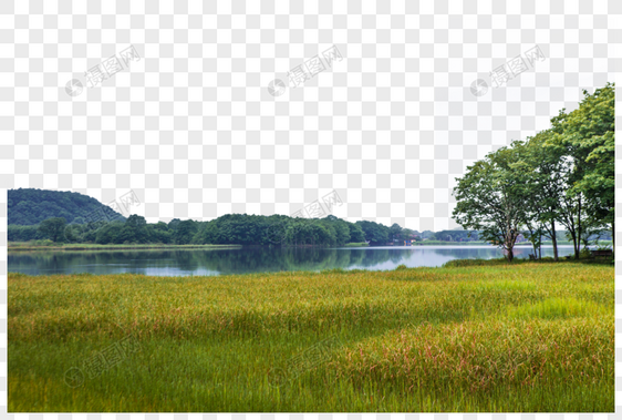 湖边青青草地图片