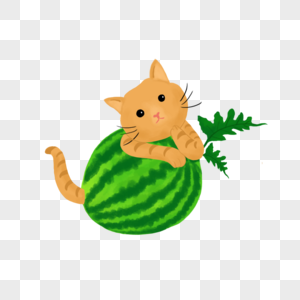 西瓜和猫咪图片