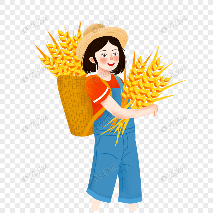 抱着麦穗的女孩