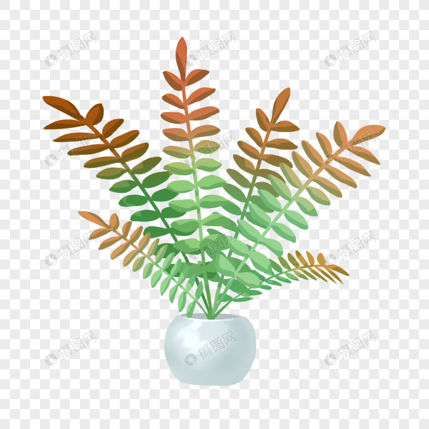 手绘植物变叶木