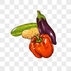 蔬菜彩椒茄子土豆青瓜手绘插画图片