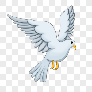 鸽子羽毛图片