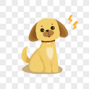 黄色小狗铭牌宠物动物图片