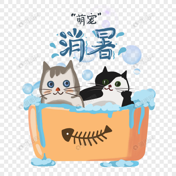 夏日泡澡的猫咪图片