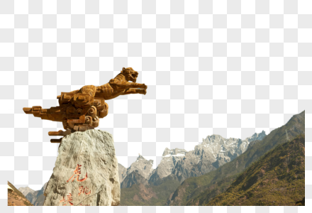 石虎图片 石虎素材 石虎高清图片 摄图网图片下载