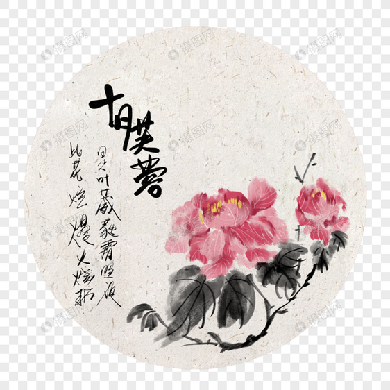 十月芙蓉图片