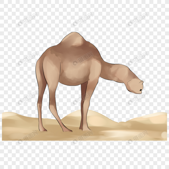 骆驼日装饰素材图案图片