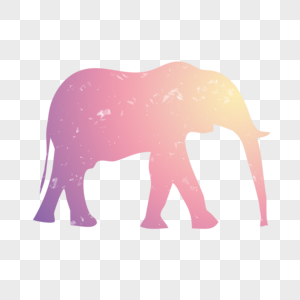 大象彩色大象高清图片