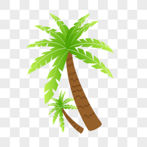 夏季清新植物椰子树图片