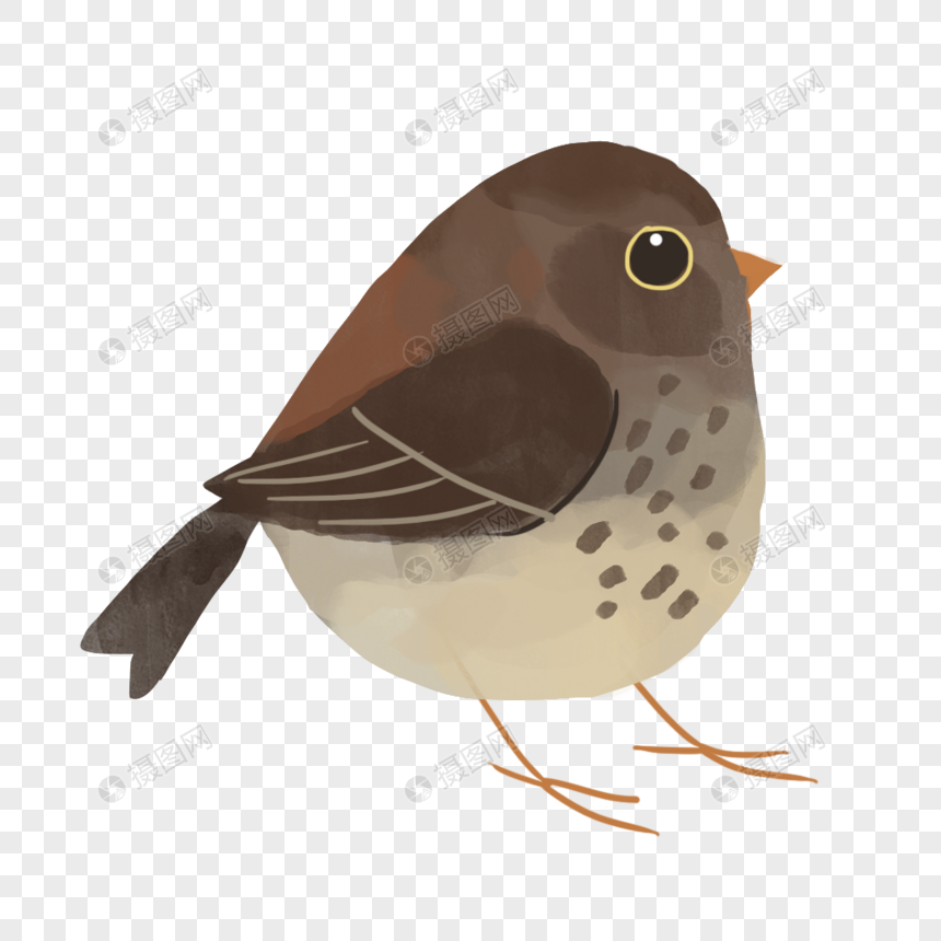 麻雀元素素材下载 正版素材 摄图网