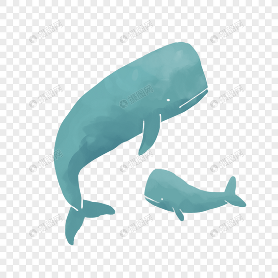 鲸鱼图片