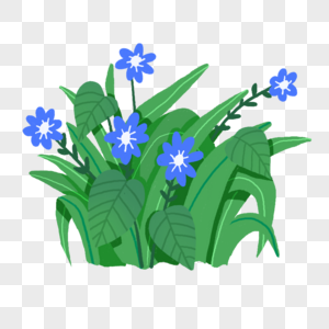 蓝色小花和植物素材图片