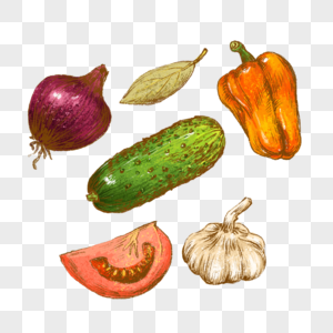 蔬菜黄瓜辣椒洋葱番茄蒜头手绘健康食材插画图片