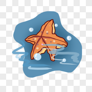 海星的图片图片