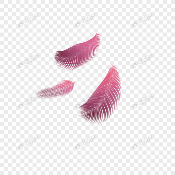 粉紫羽毛图片