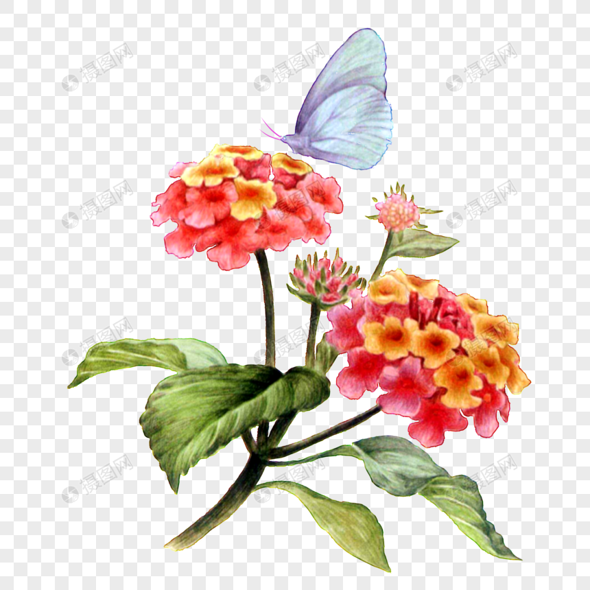 蝴蝶和花朵元素素材下载 正版素材 摄图网