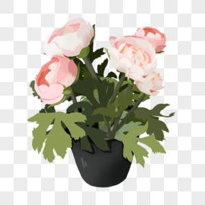 手绘粉色玫瑰花卉盆栽元素图片