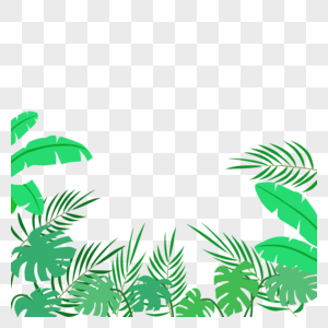 热带植物边框图片