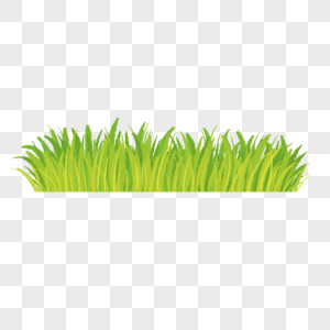 嫩绿小草草地草坪图片