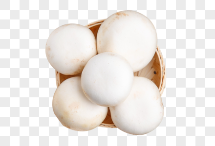 一盘蘑菇素材鲜口蘑高清图片