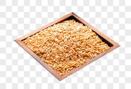五谷糙米图片