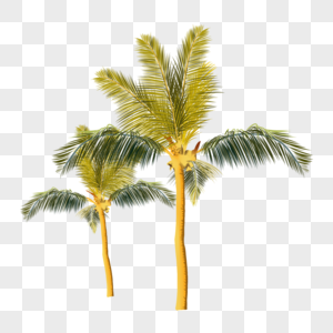 手绘绿植椰子树图片