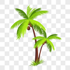 手绘植物椰子树图片