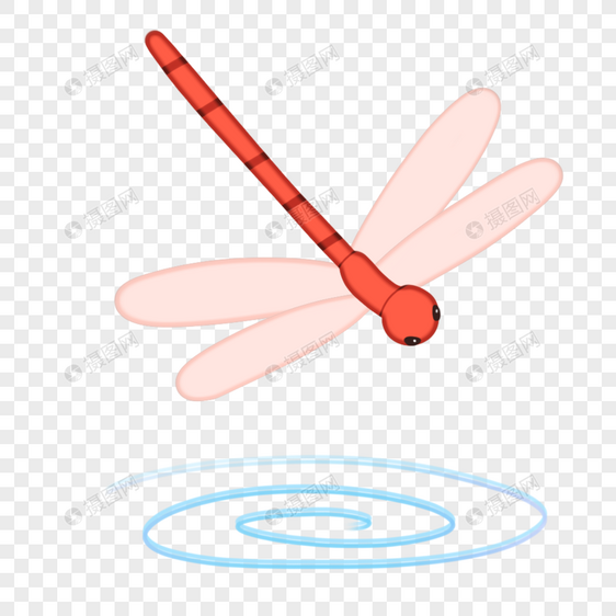 可爱红蜻蜓插图图片
