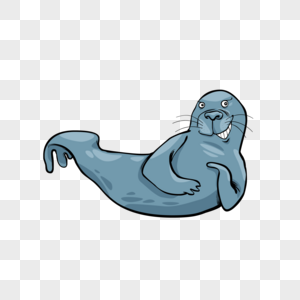 浅蓝色海狮图片