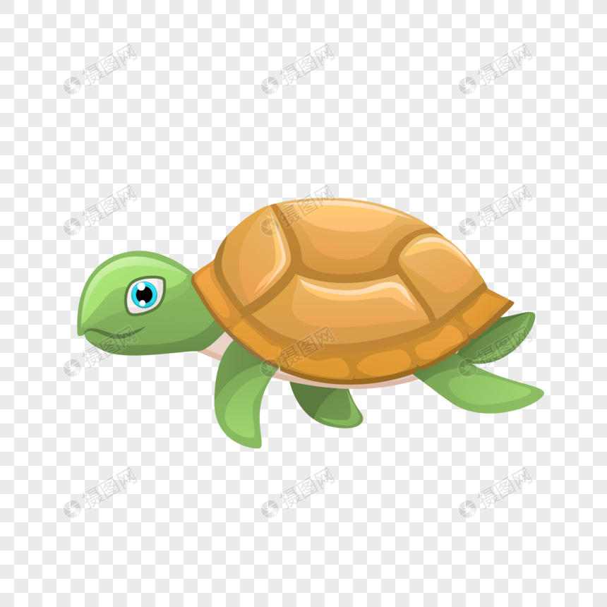 绿色海龟图片