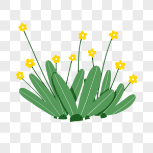 植物花卉元素图片
