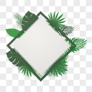 绿色清新植物边框图片