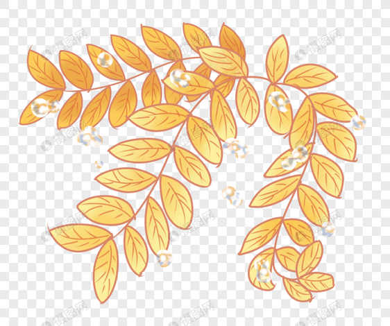 手绘小清新树叶与水滴PNG图片