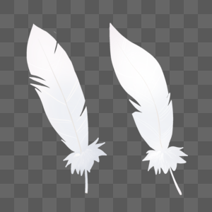 白色简单羽毛图片