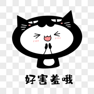 猫猫害羞表情高清图片