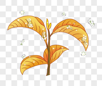原创树叶与水滴PNG图片