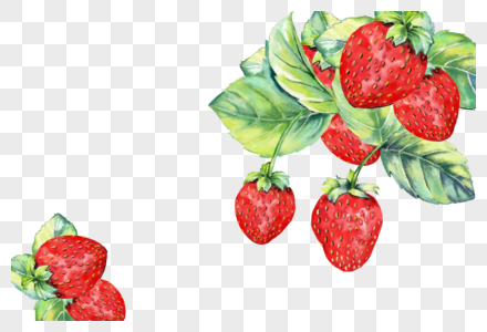草莓彩绘素材高清图片