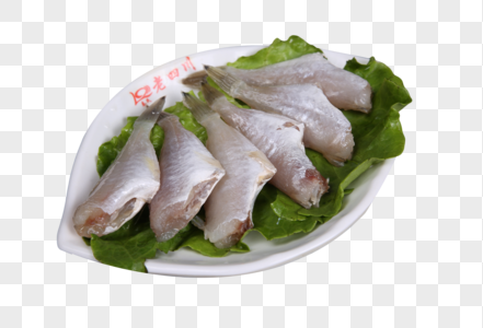 美味的鱼新鲜鱼元素高清图片