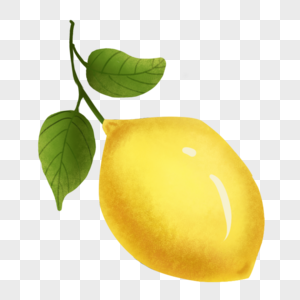 手绘柠檬泡水水果高清图片