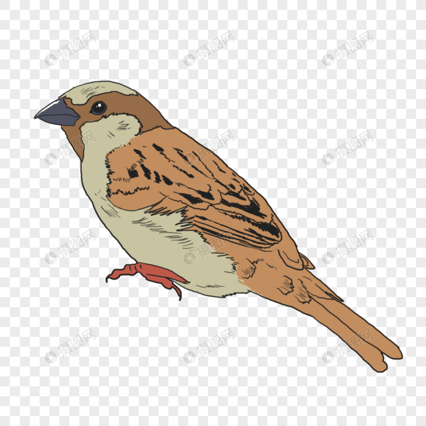 麻雀元素素材下载 正版素材 摄图网