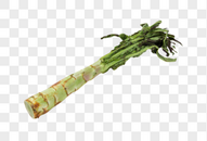 莴苣莴笋图片