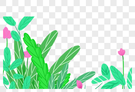 绿植花卉图片