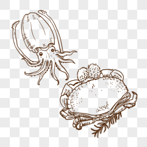 手绘螃蟹章鱼海鲜线描插画图片