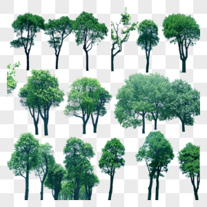 高清树木组装饰图案图片