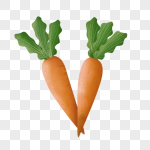 将康减肥饮食蔬菜胡萝卜图片
